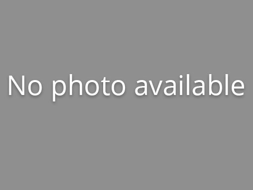 331 Merigold Way Photo